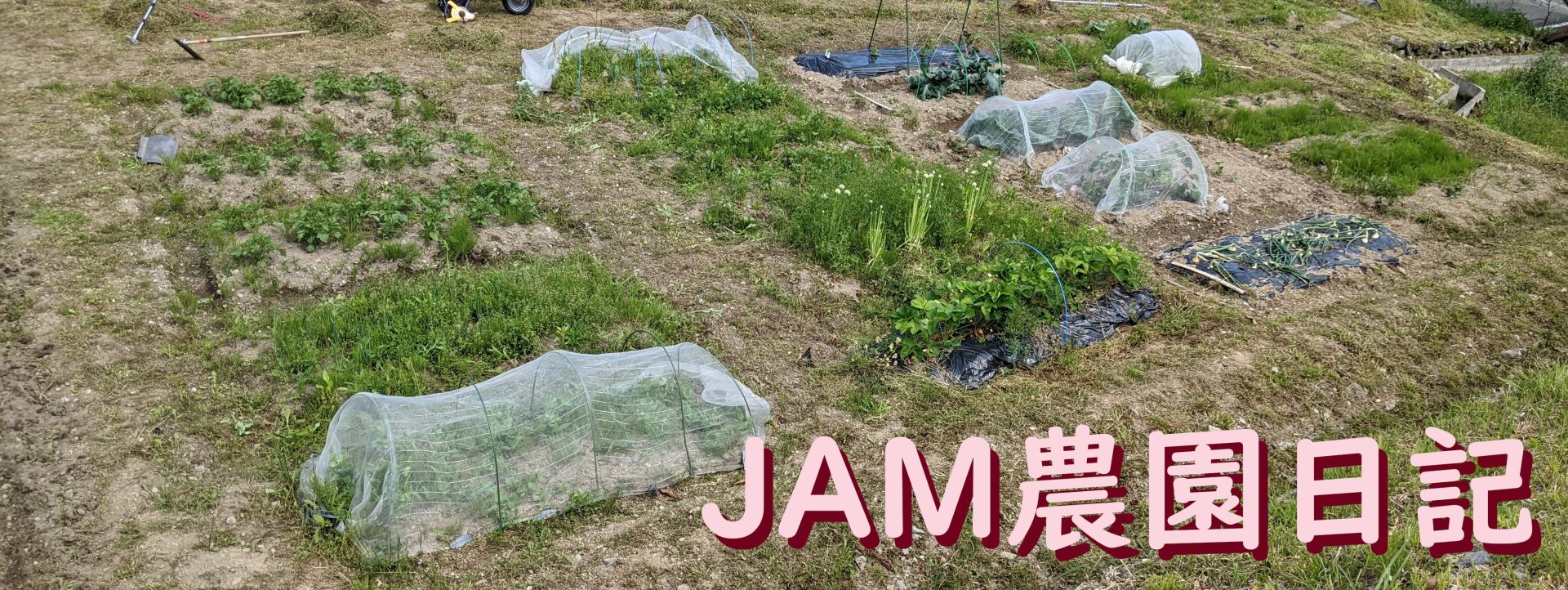 JAM農園日記